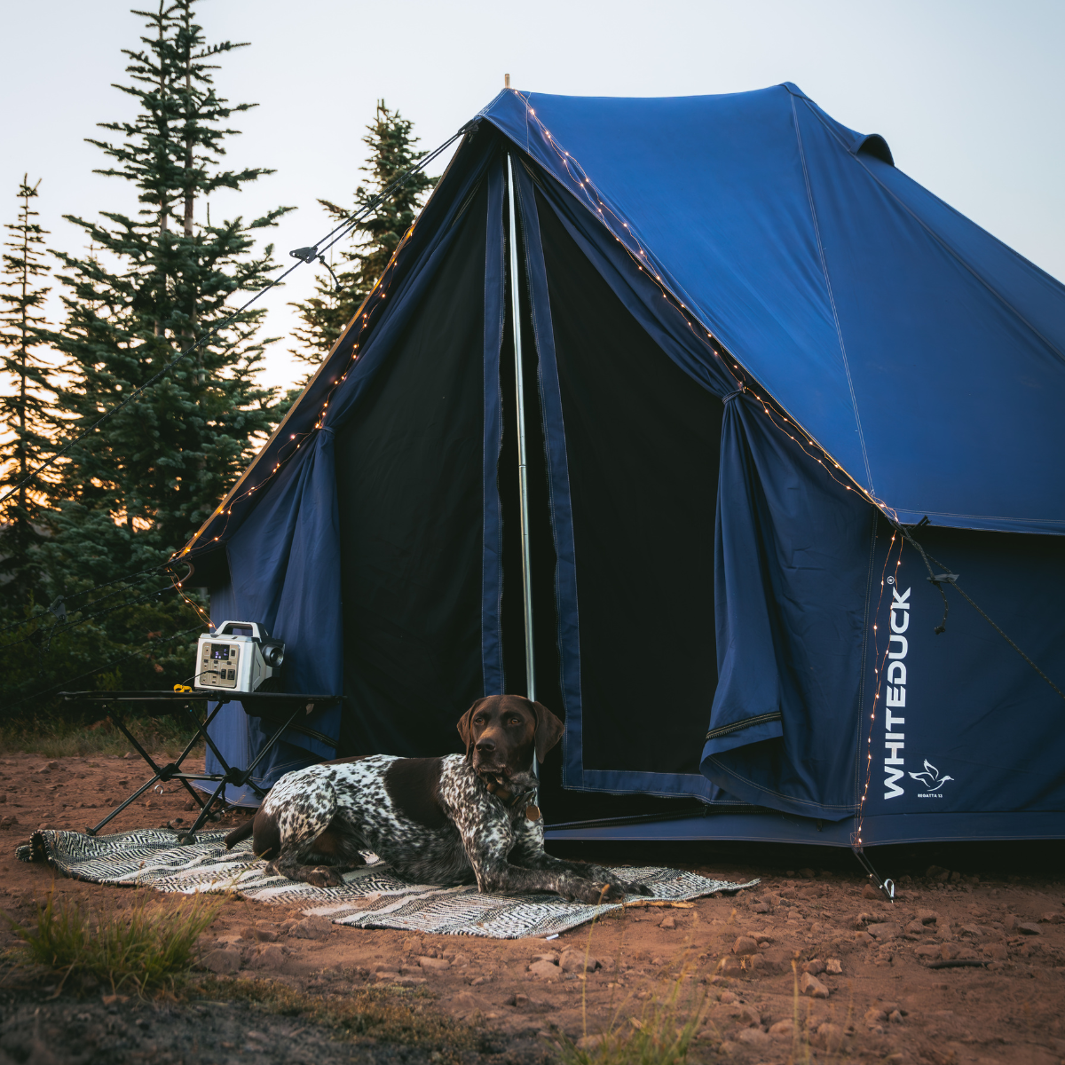 White Duck 16' Regatta Bell Tent | 4-Season Luxury Cotton Canvas Glamping Tent
