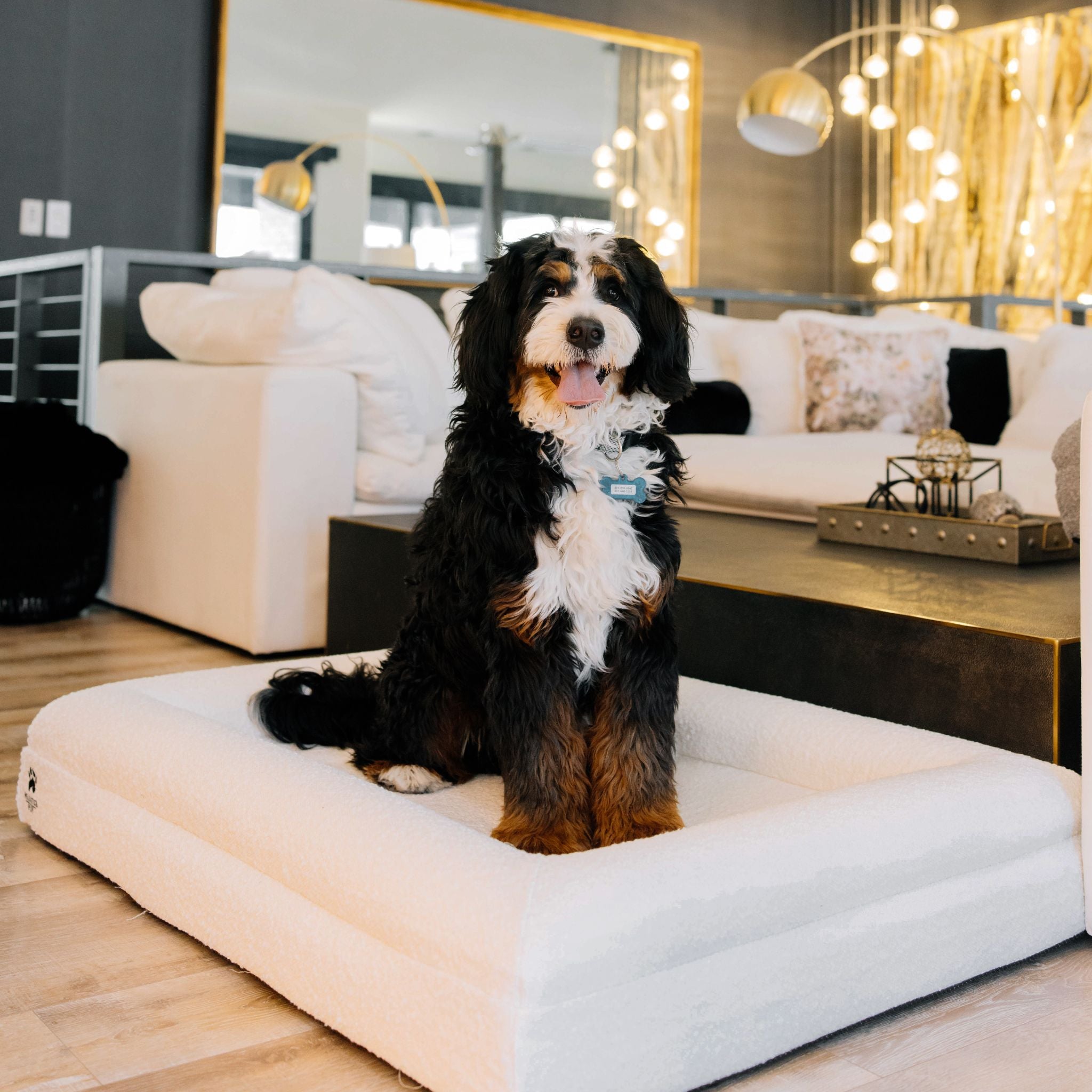 Orthopedic Memory Foam Dog Bed | High-Density Joint Support & Boucle Pet Mattress