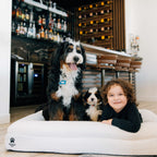 Orthopedic Memory Foam Dog Bed | High-Density Joint Support & Boucle Pet Mattress
