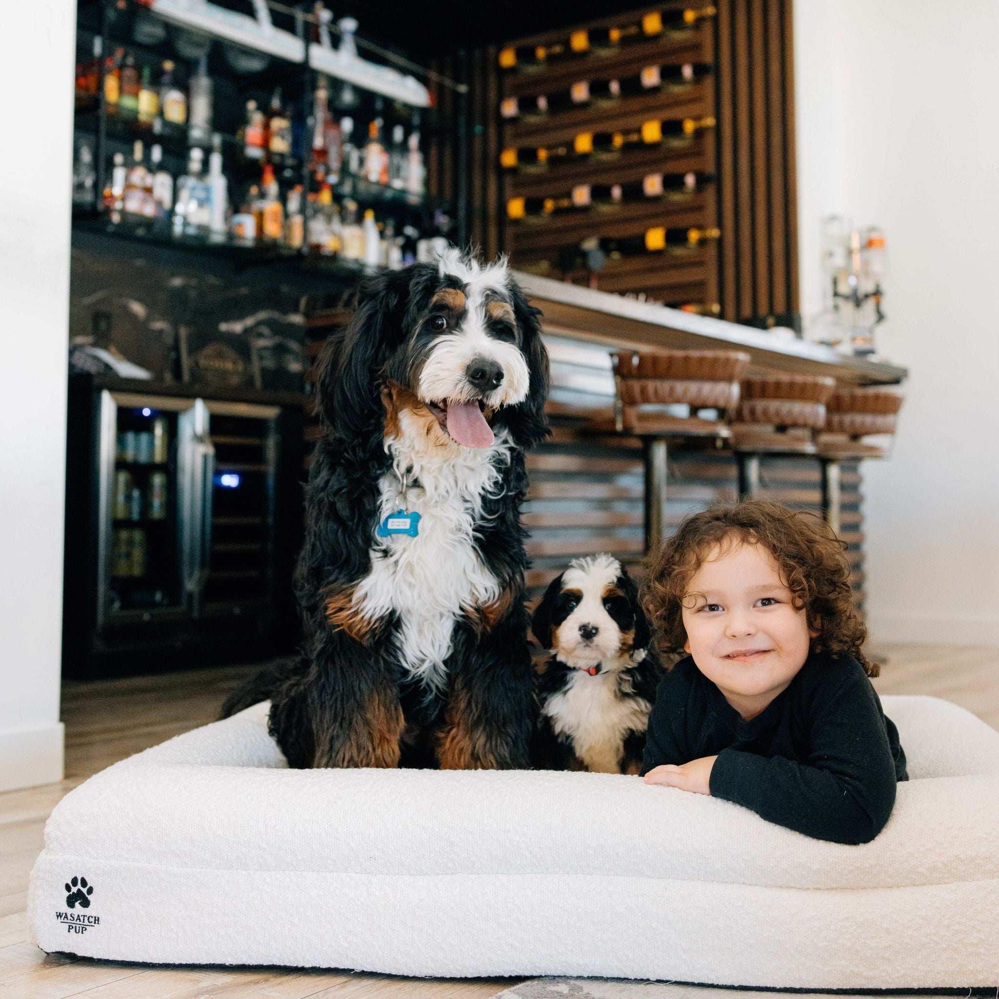 Orthopedic Memory Foam Dog Bed | High-Density Joint Support & Boucle Pet Mattress