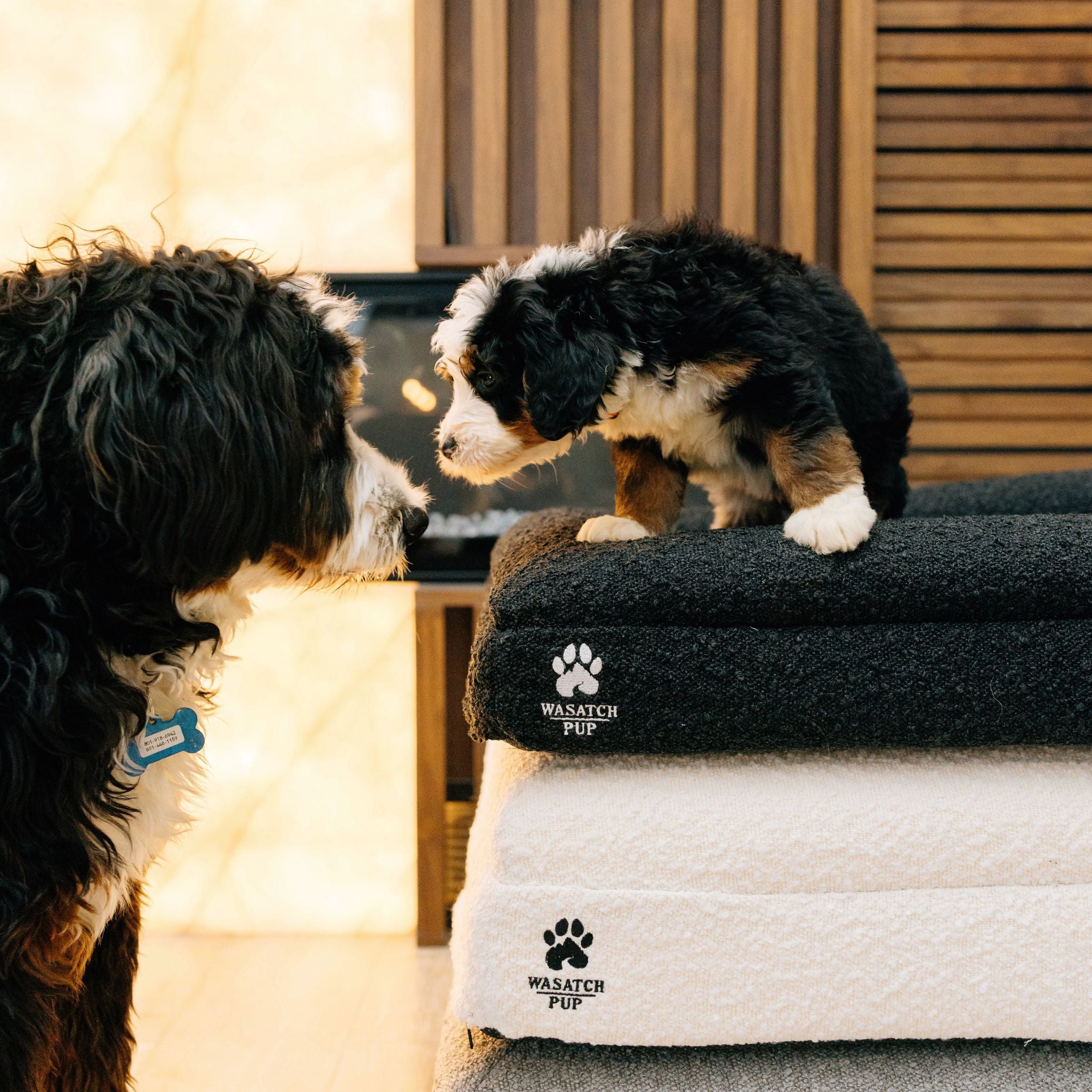 Orthopedic Memory Foam Dog Bed | High-Density Joint Support & Boucle Pet Mattress