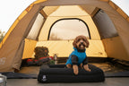 Orthopedic Memory Foam Dog Bed | High-Density Joint Support & Boucle Pet Mattress