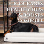 Orthopedic Memory Foam Dog Bed | High-Density Joint Support & Boucle Pet Mattress