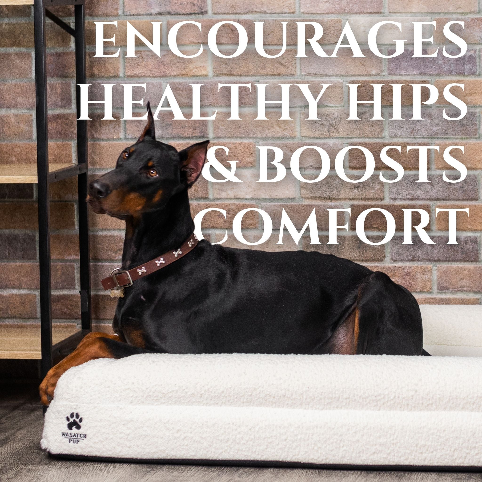Orthopedic Memory Foam Dog Bed | High-Density Joint Support & Boucle Pet Mattress