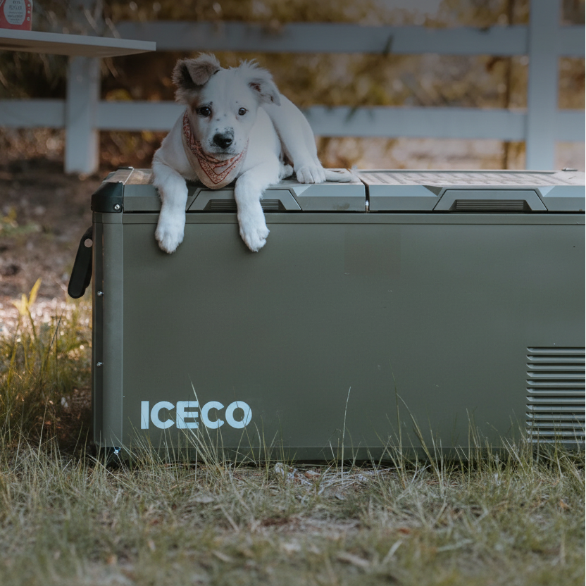 ICECO VL75ProD 12V Fridge Freezer 75L Dual Zone | Heavy-Duty Steel Portable Refrigerator