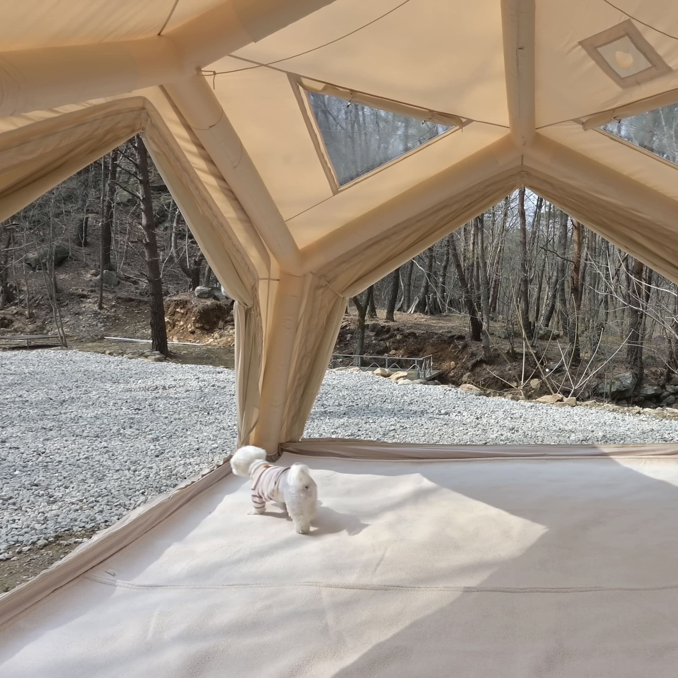 Coody Hub Inflatable Tent Beige | Quick Pitch 4-Season Inflatable Camping Tent
