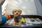 Touchdog ® Subzero-Storm Waterproof Dog Coat | Reflective Cold Weather Winter Pet Jacket
