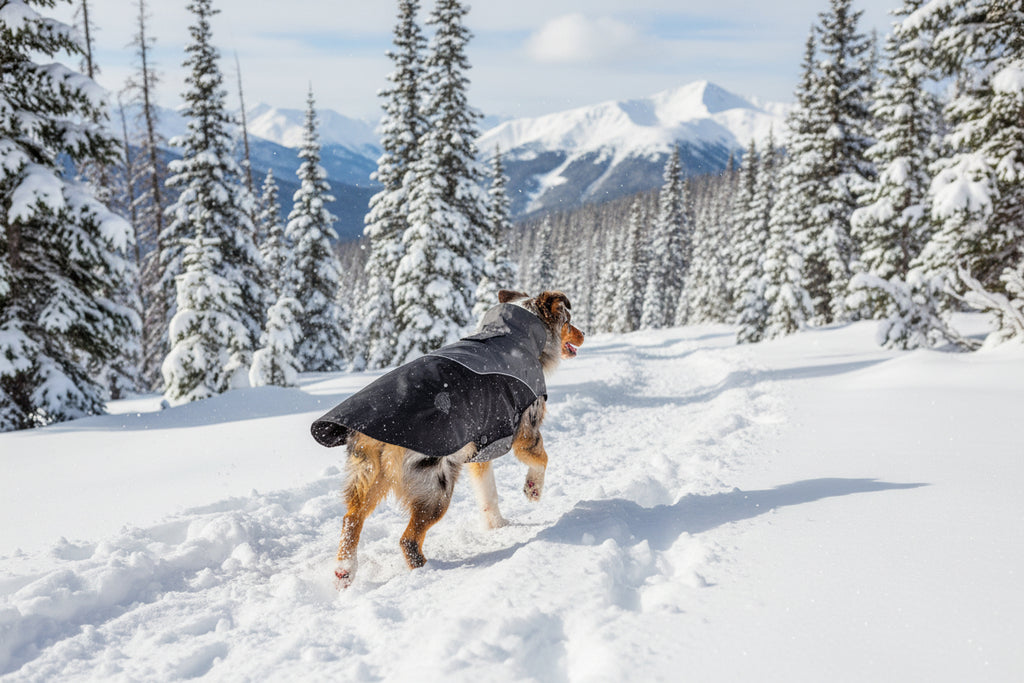 Touchdog ® Subzero-Storm Waterproof Dog Coat | Reflective Cold Weather Winter Pet Jacket