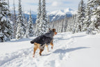 Touchdog ® Subzero-Storm Waterproof Dog Coat | Reflective Cold Weather Winter Pet Jacket